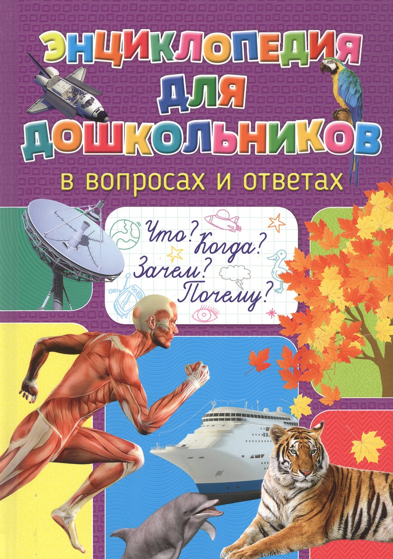 

Энциклопедия для дошкольников в вопросах и ответах. Что Когда Зачем Почему
