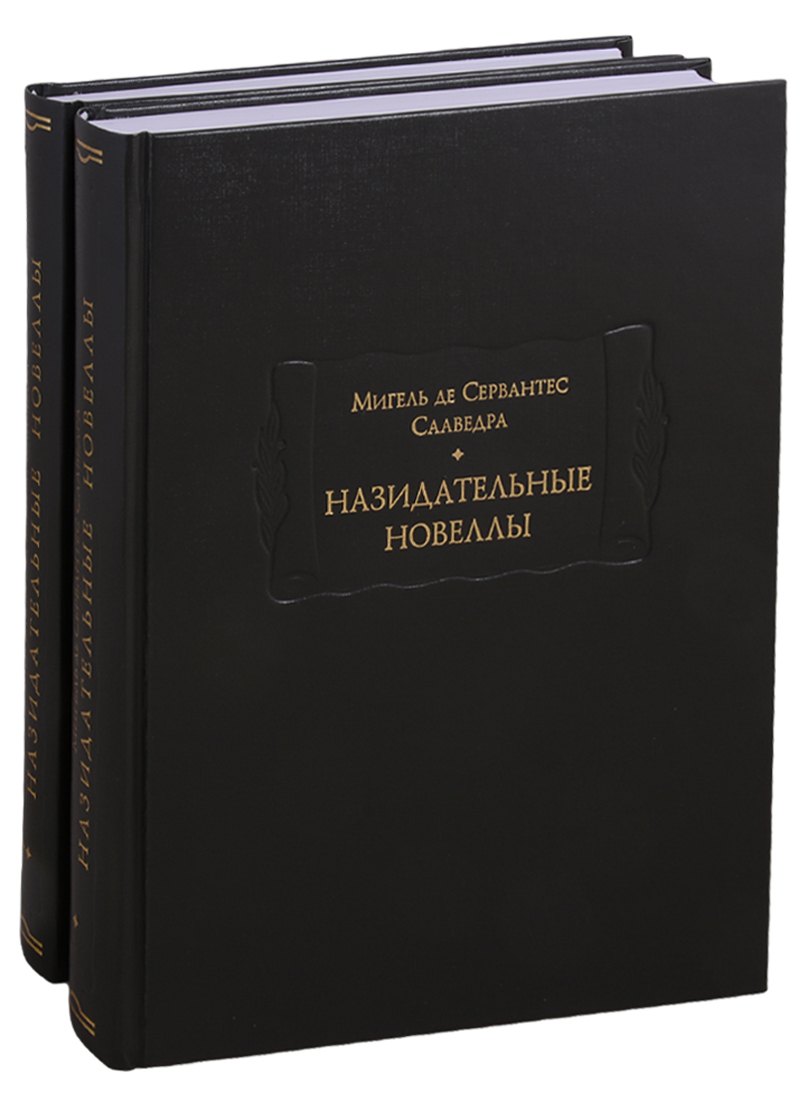 Назидательный. Назидательные новеллы книга. Назидательные новеллы Сервантеса. Назидательные новеллы Мигель де Сервантес книга. Издательство Ладомир литературные памятники.