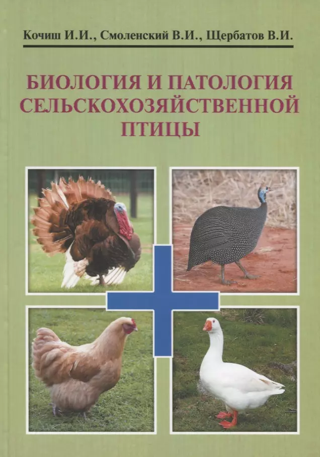 Птицы учебник. Биология и патология птиц. Биология и патология сельскохозяйственной птицы. Птицы учебное пособие. Биология в сельском хозяйстве.