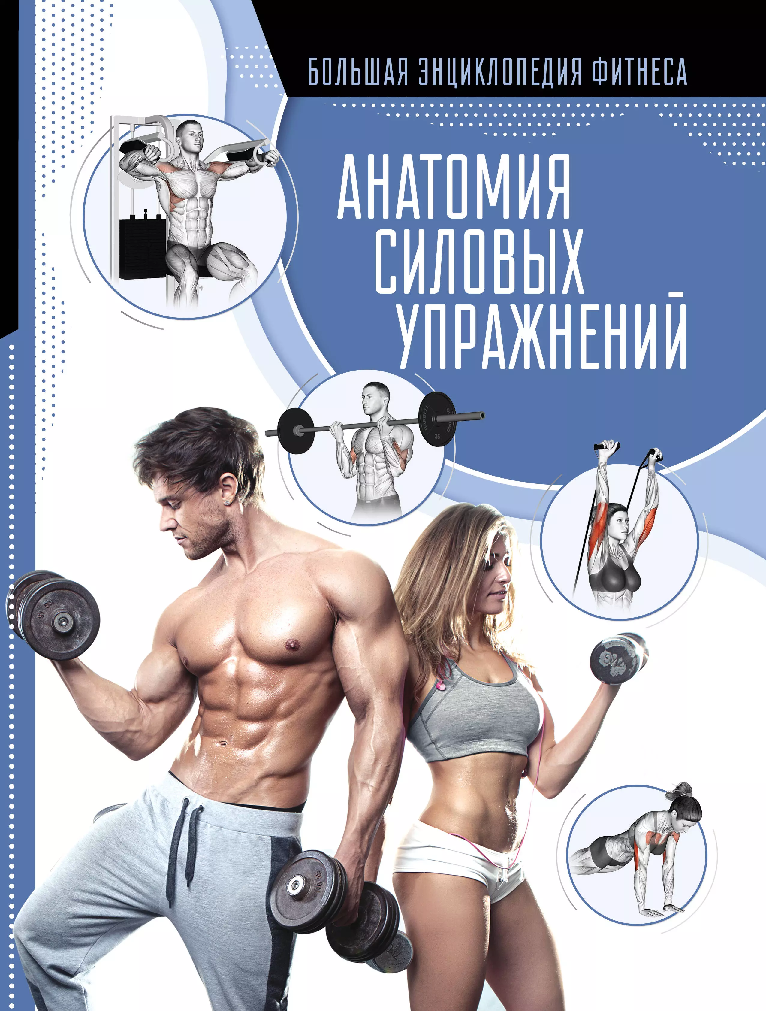 Анатомия силовых упражнений. Анатомия силовых упражнений Дальниченко. Анатомия силовых упражнений Фредерик Делавье. Юрий Дальниченко анатомия силовых упражнений. Дальниченко Юрий Викторович анатомия силовых упражнений.