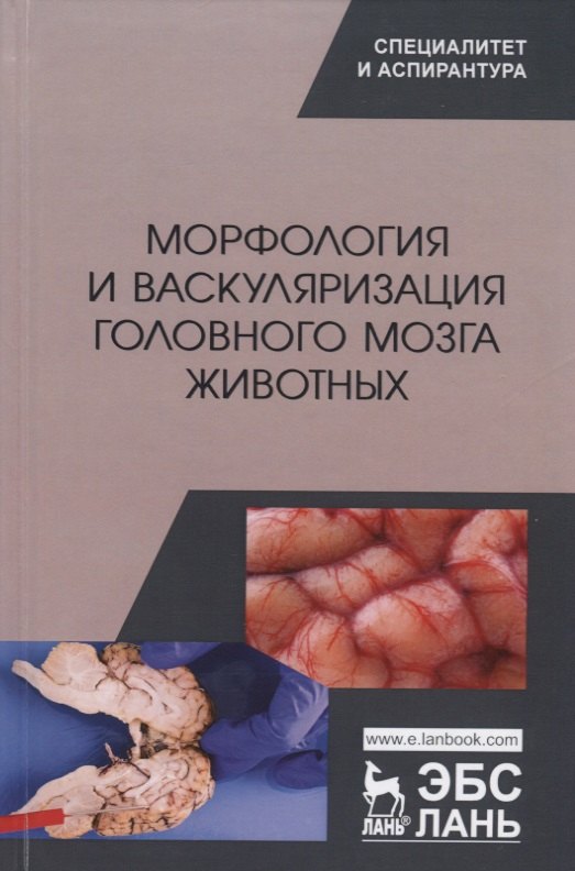 

Морфология и васкуляризация головного мозга животных. Монография