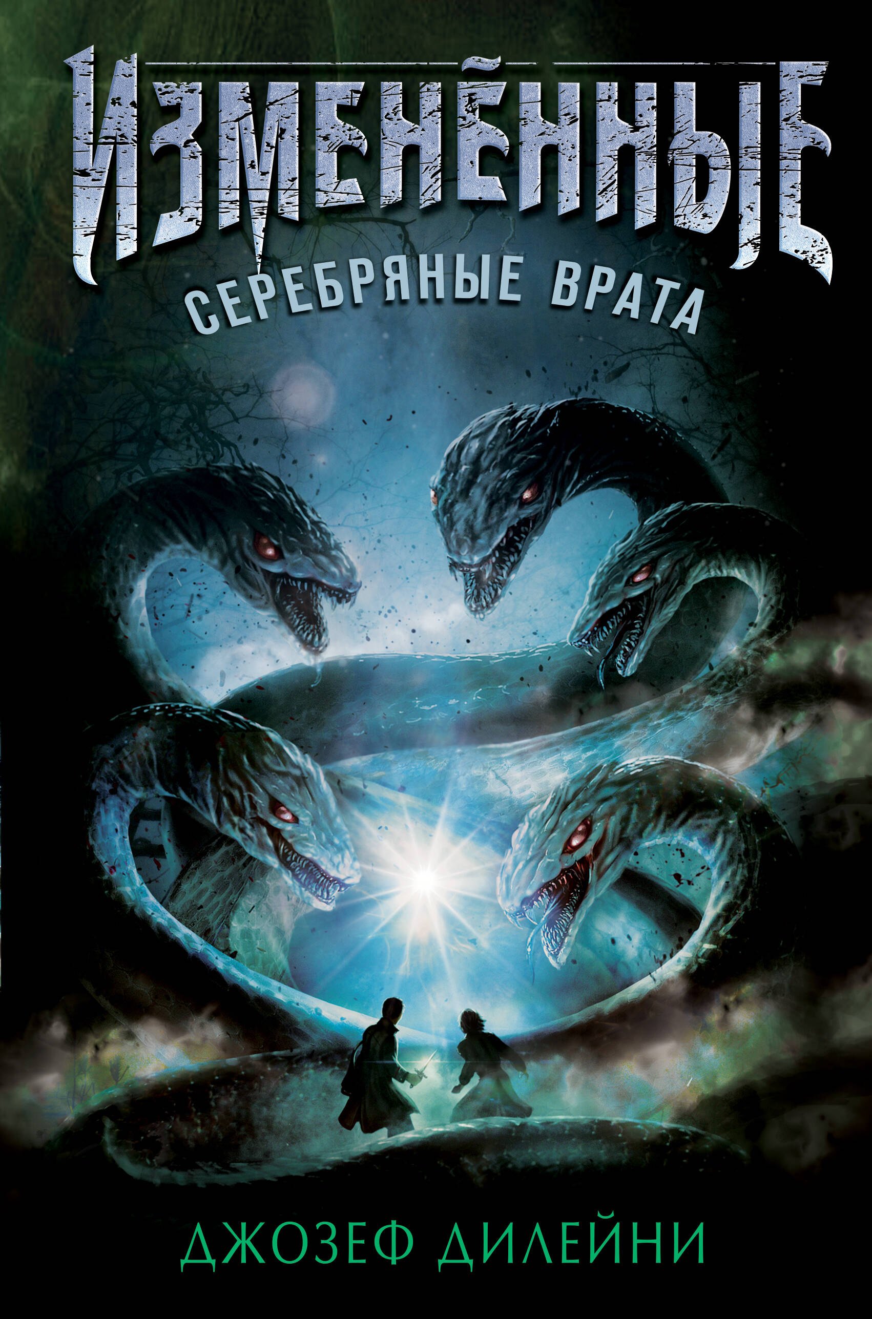 

Серебряные врата