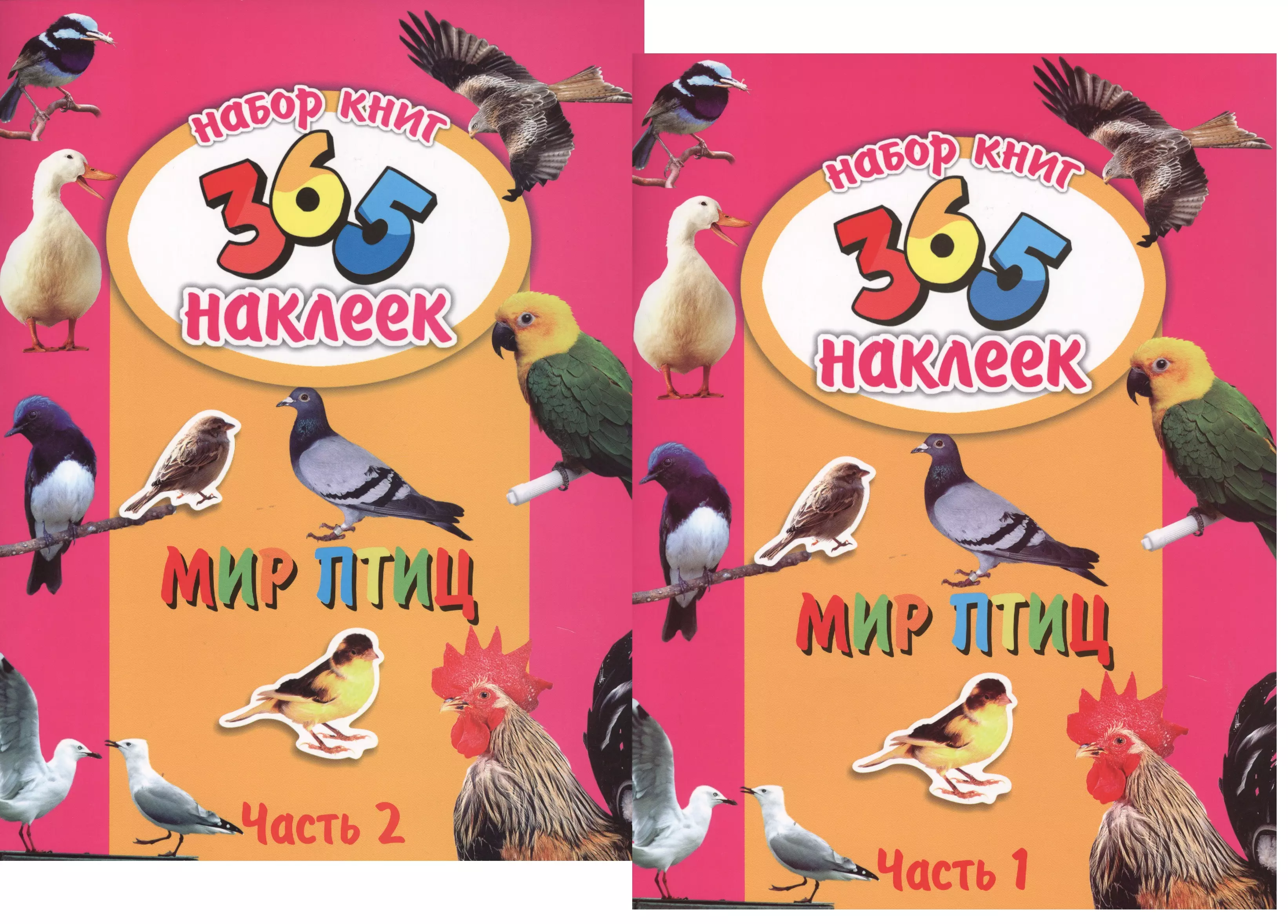 365 наклеек. Мир птиц книга. Набор книг 365 наклеек. Набор из двух книг 