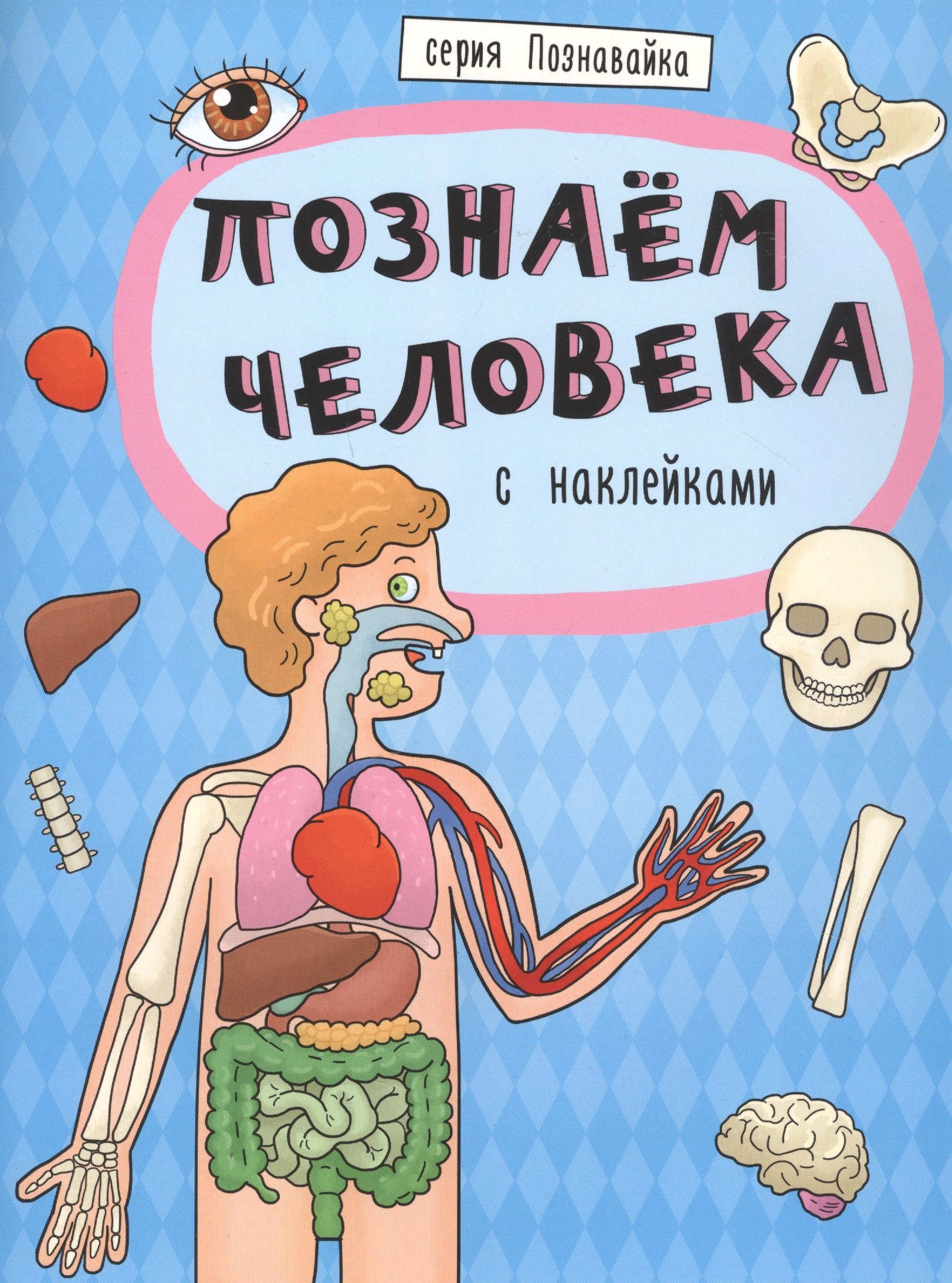 

Познаем человека