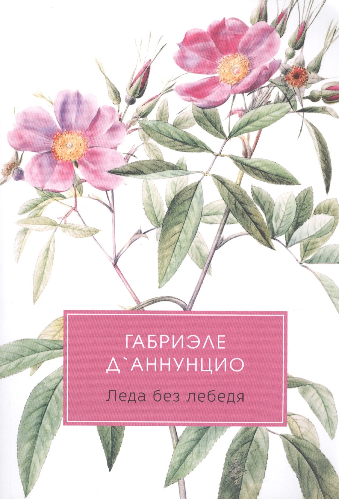 

Леда без лебедя