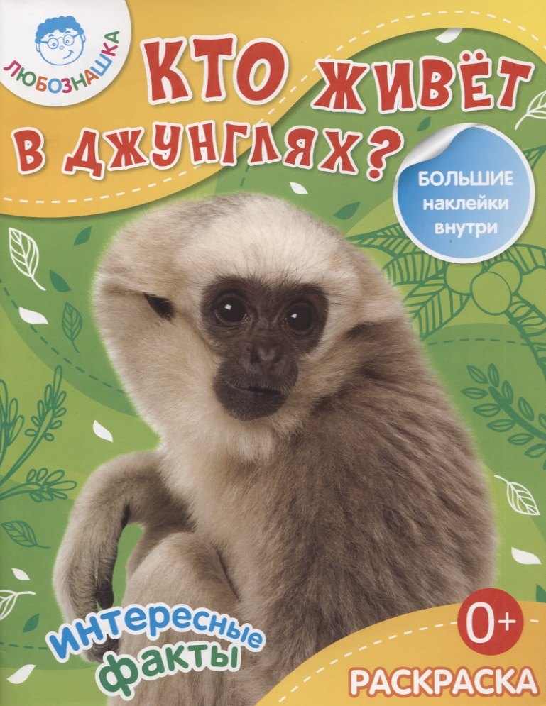 

Кто живет в джунглях Раскраска + большие наклейки внутри