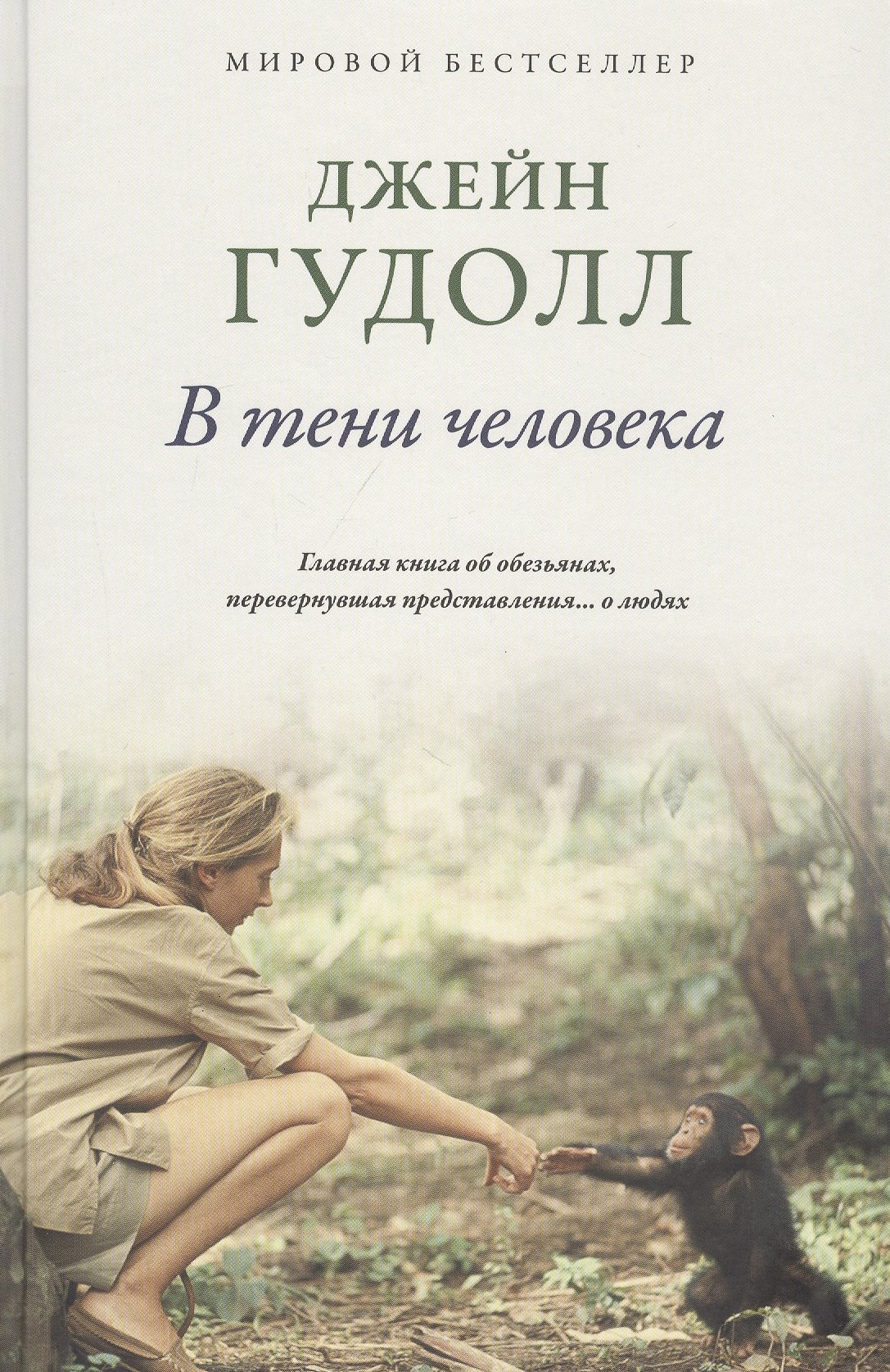 

В тени человека