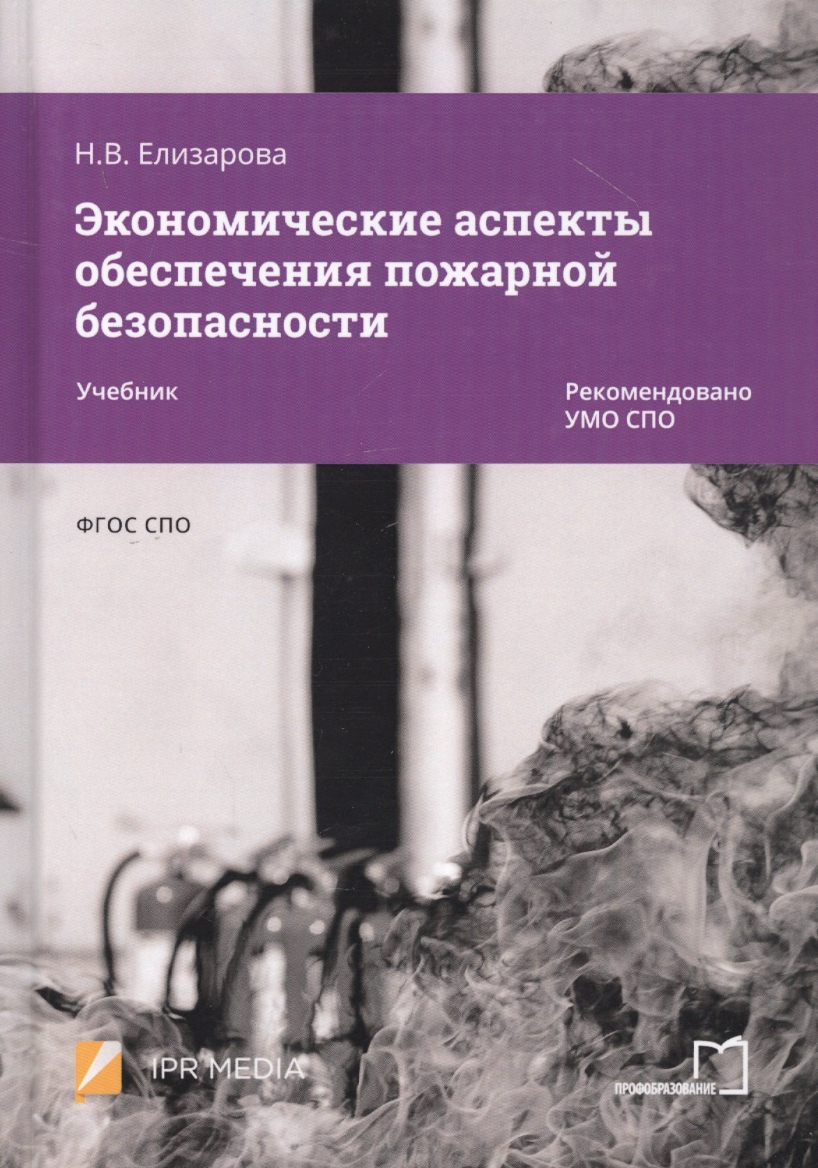 

Экономические аспекты обеспечения пожарной безопасности. Учебник