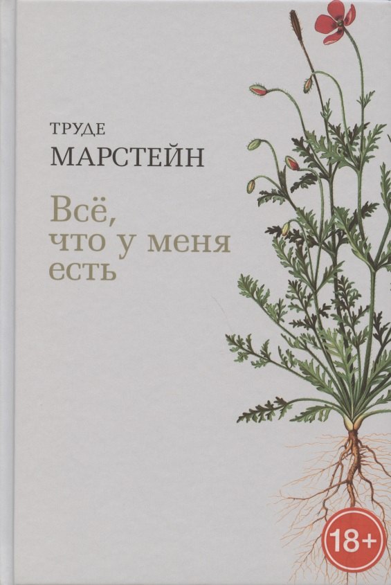 

Все, что у меня есть