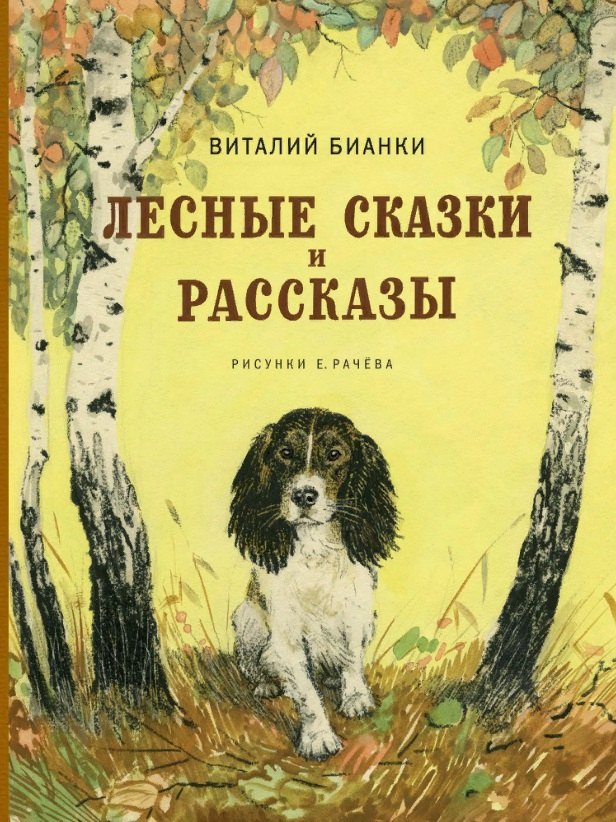 

Лесные сказки и рассказы
