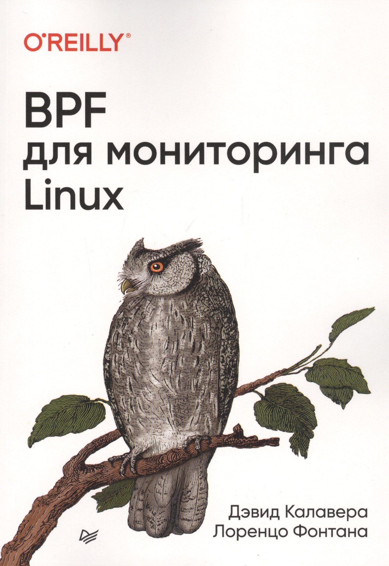 

BPF для мониторинга Linux