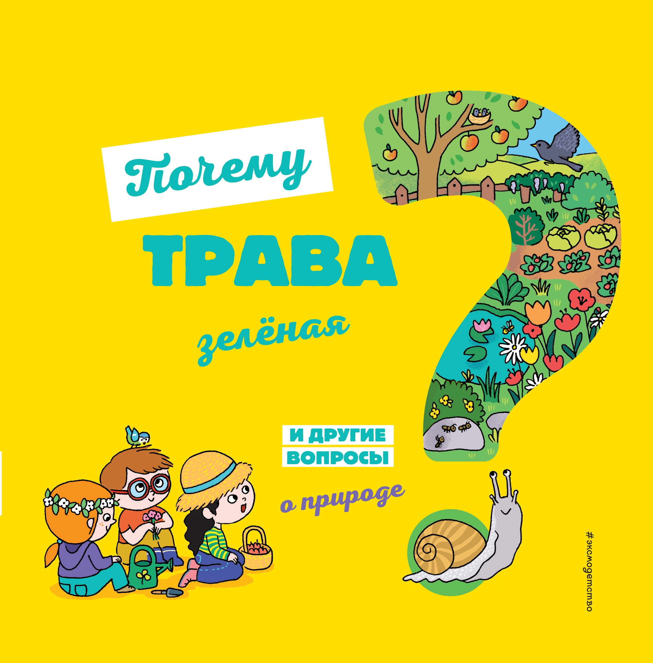 

Почему трава зеленая И другие вопросы о природе