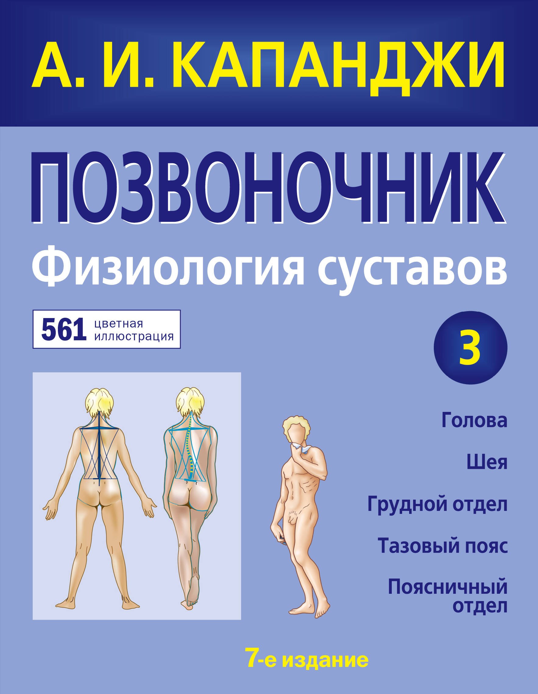 

Позвоночник: Физиология суставов