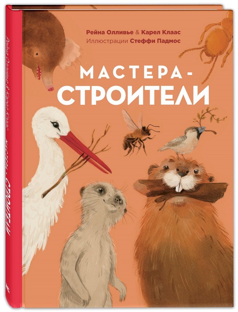 

Мастера-строители