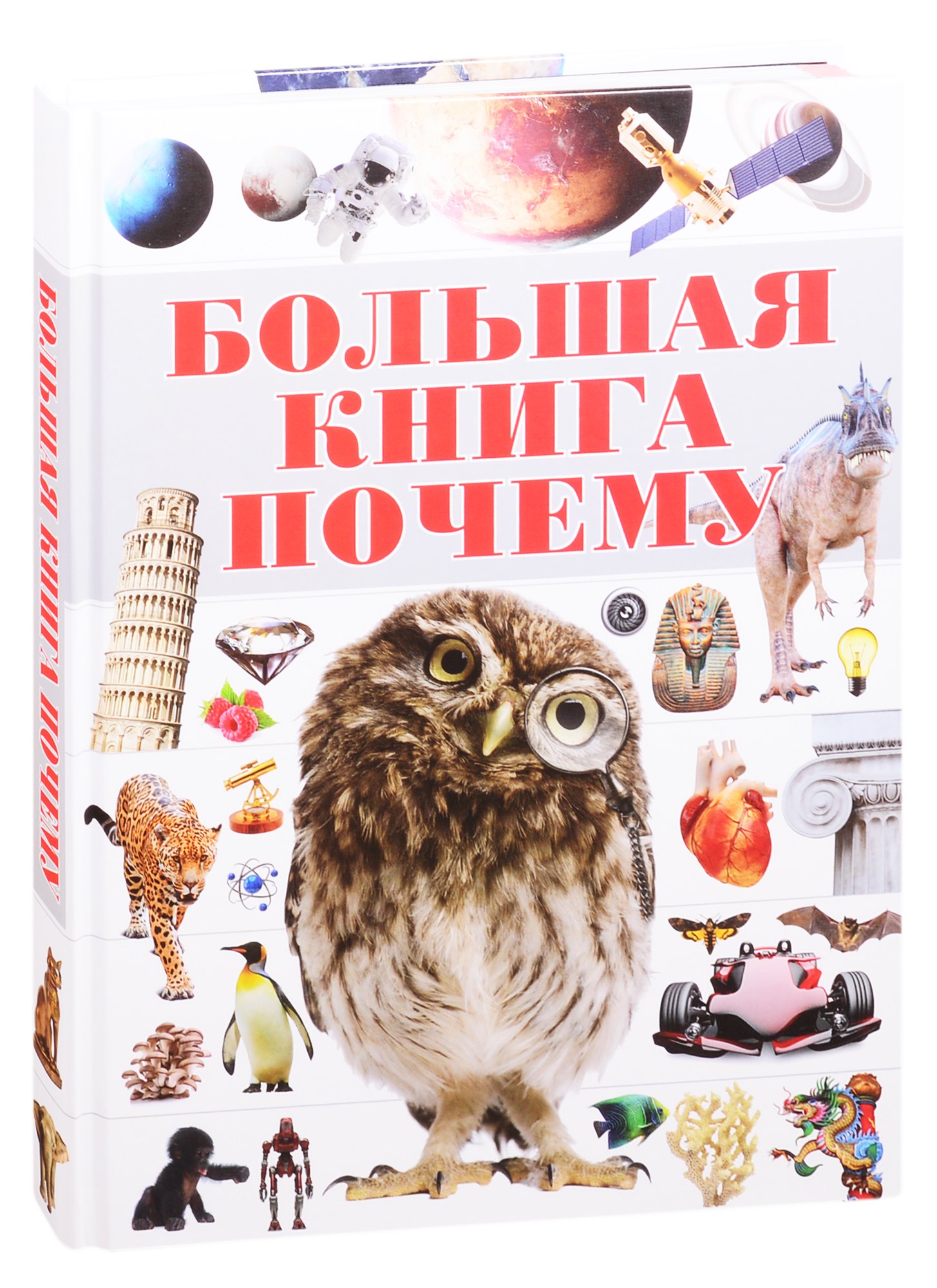 

Большая книга "Почему"