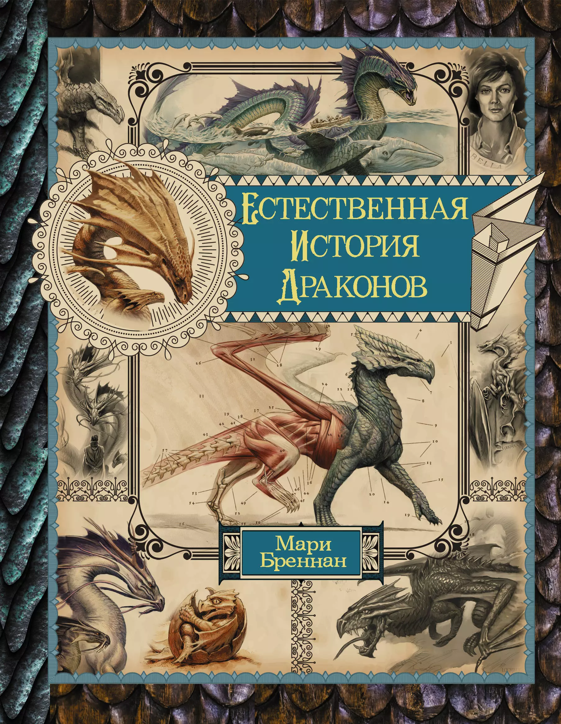 Книга естественный. Мари Бреннан естественная история драконов. Естественная история драконов. Омнибус. Естественная история драконов мемуары леди Трент. Книга естественная история драконов Мари Бреннан.