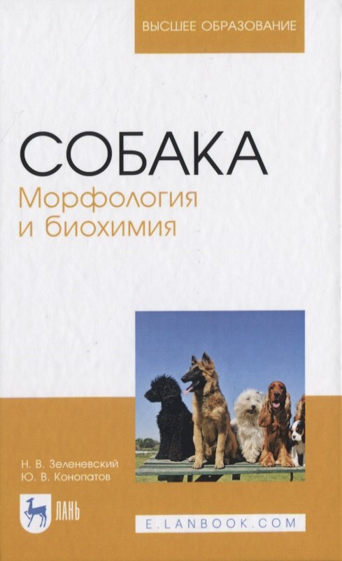 

Собака. Морфология и биохимия