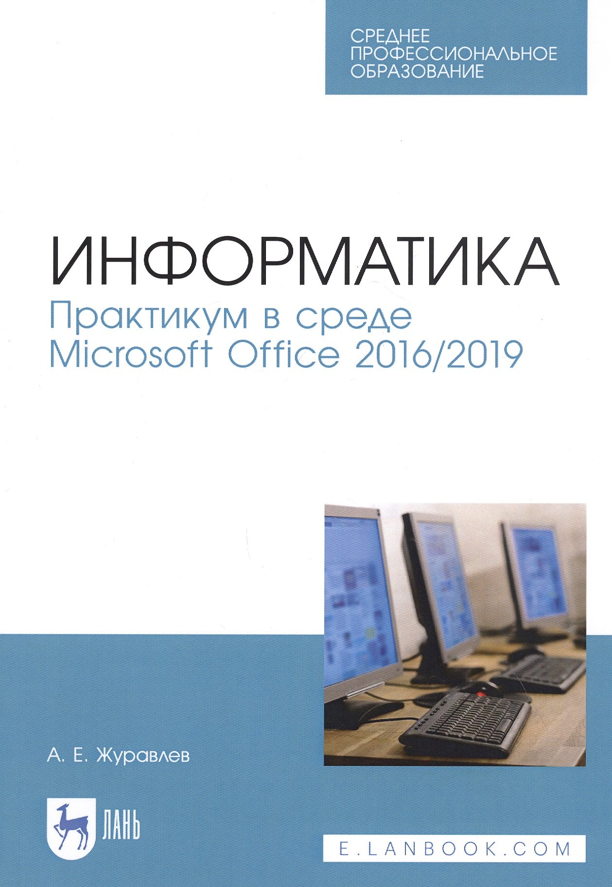 

Информатика. Практикум в среде Microsoft Office 2016/2019. Учебное пособие
