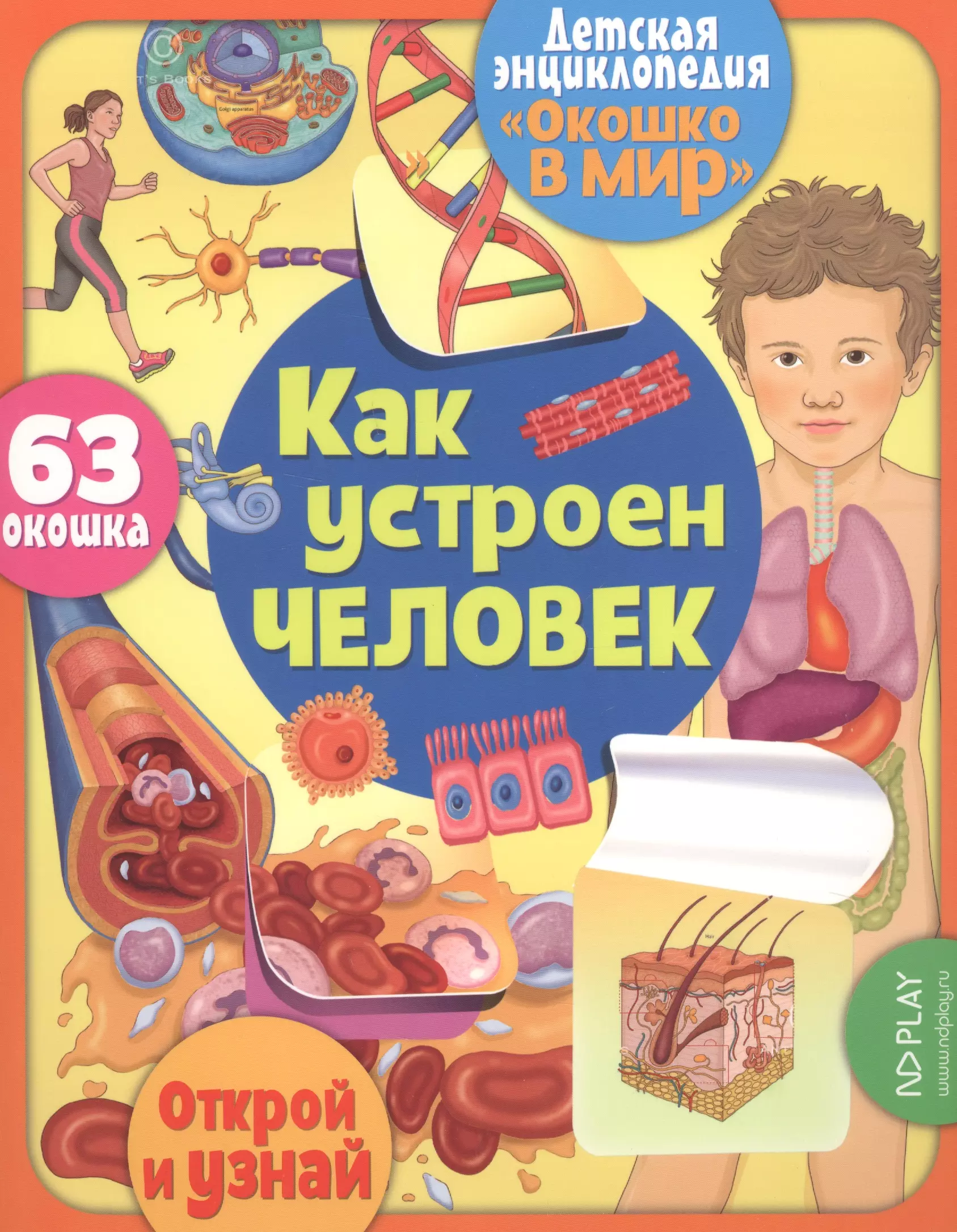 Книга энциклопедия человек