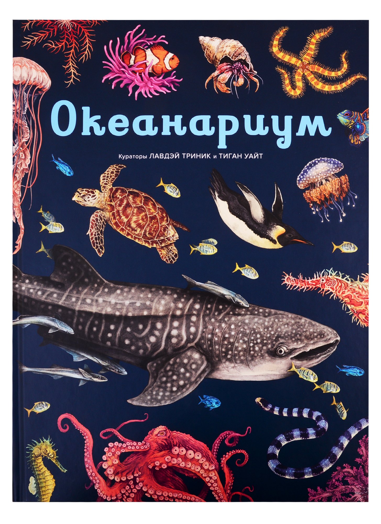 

Океанариум