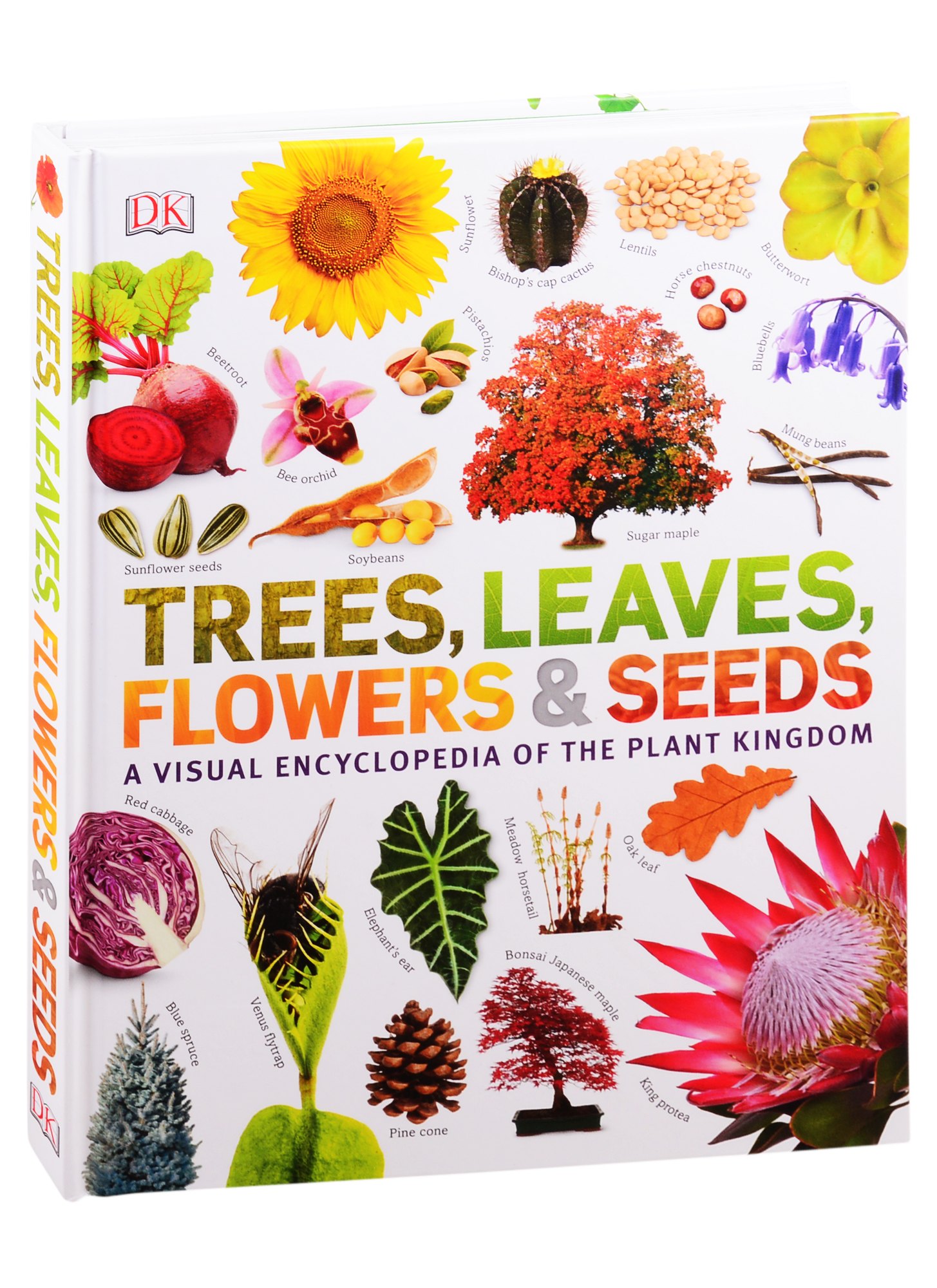 

Trees, Leaves, Flowers & Seeds