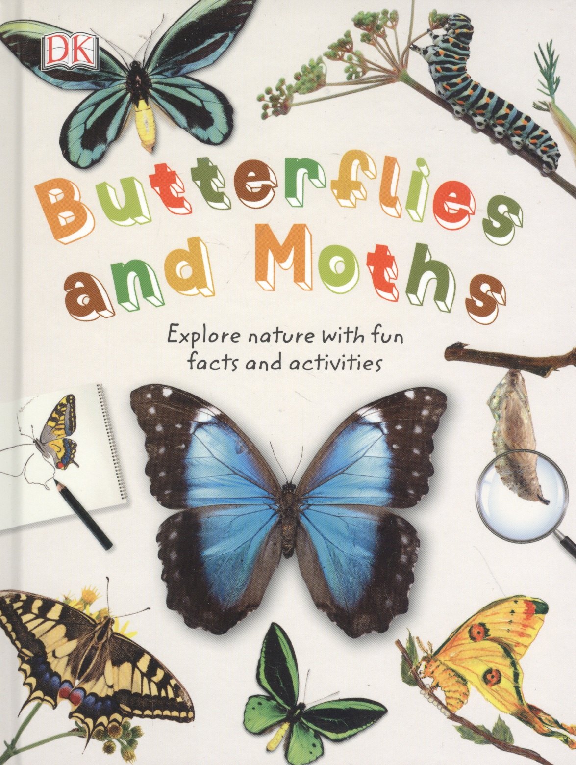 

Butterflies and Moths