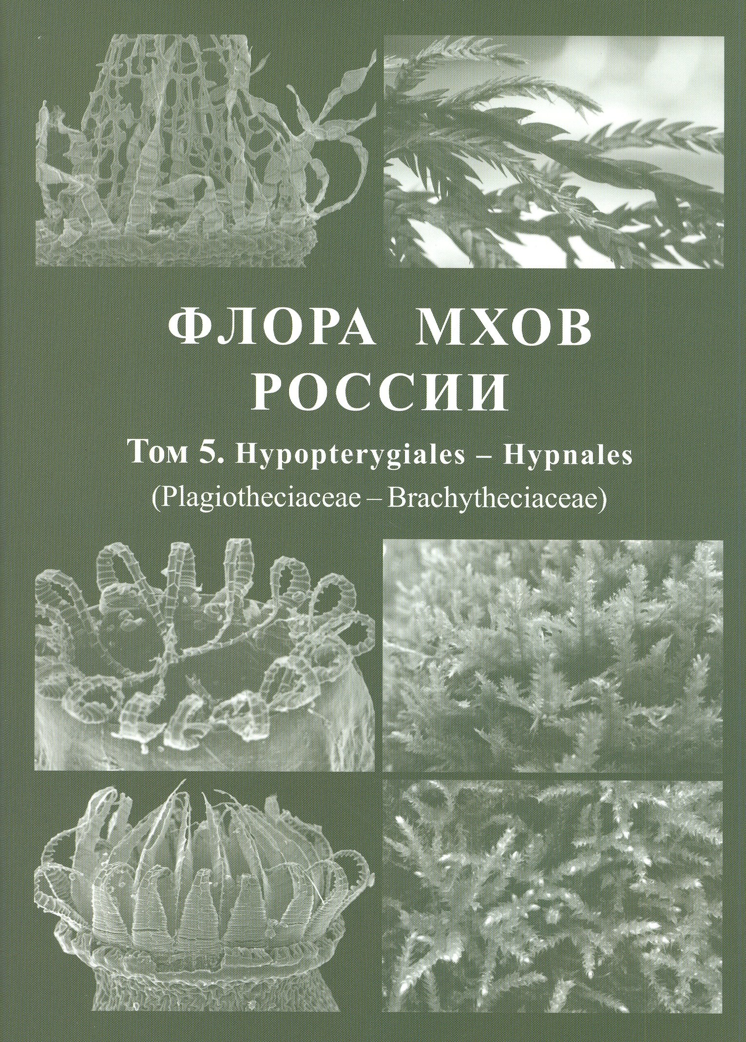 

Флора мхов России. Том 5. Hypopterygiales - Hypnales (Plagiotheciaceae - Brachytheciaceae)