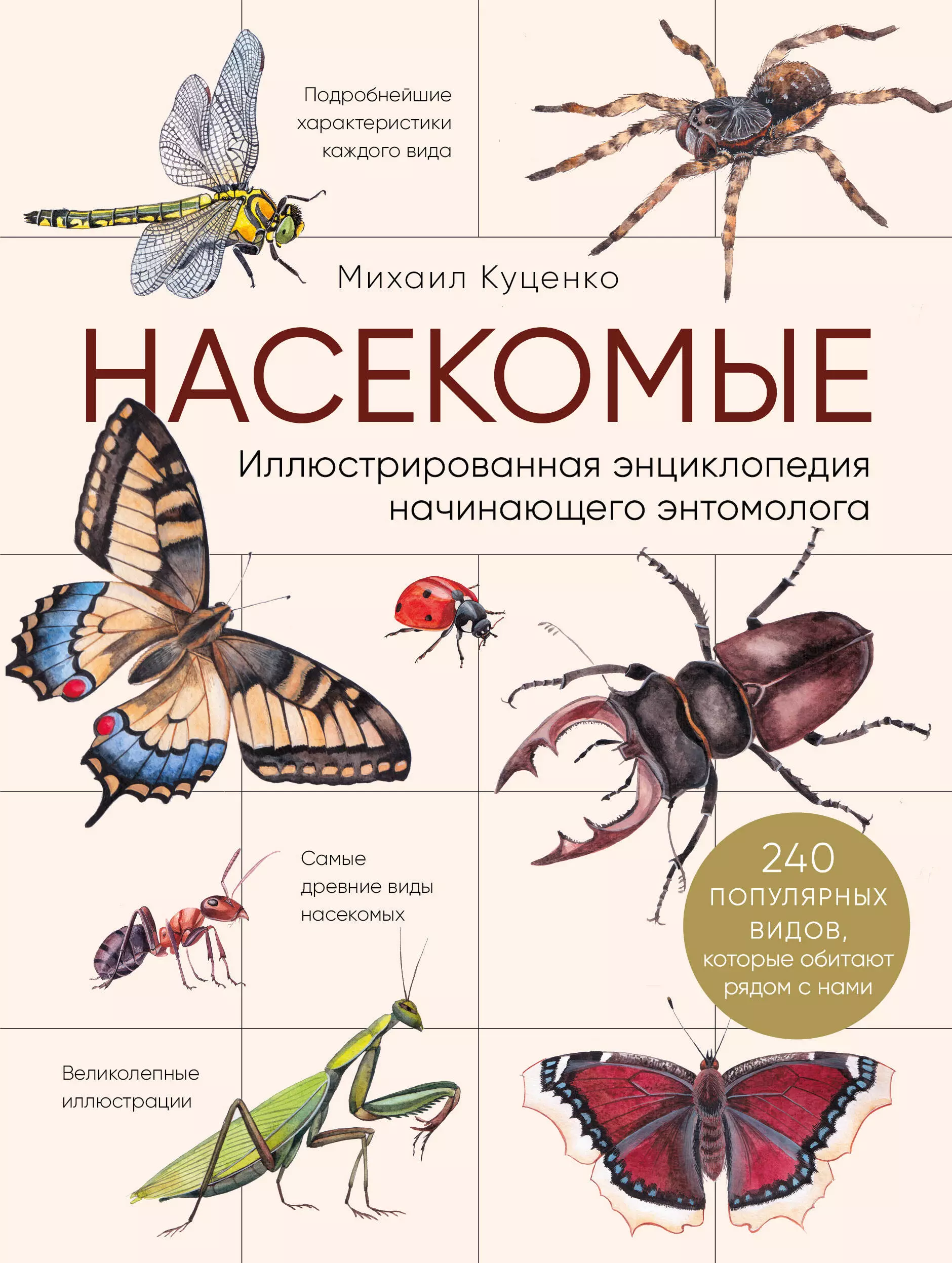 Куценко М. Е. - Насекомые. Иллюстрированная энциклопедия начинающего энтомолога