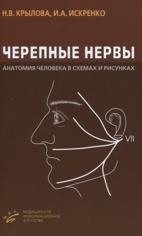 

Черепные нервы. Анатомия человека в схемах и рисунках