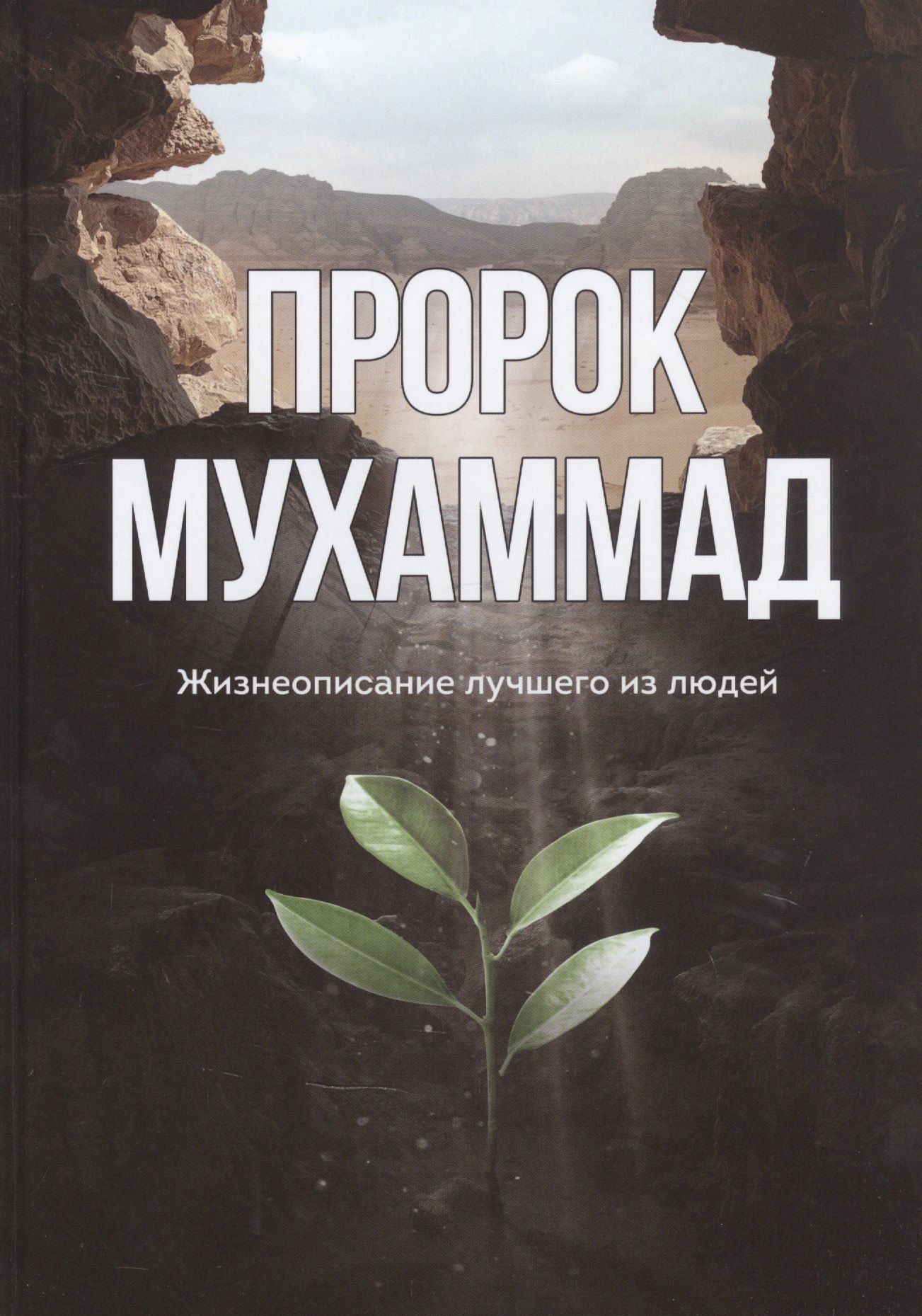 

Пророк Мухаммад. Жизнеописание лучшего из людей