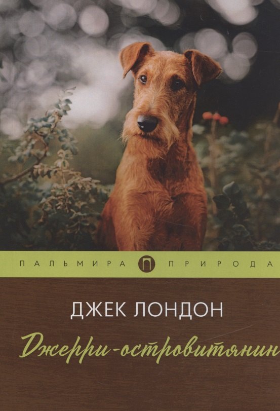 

Джерри-островитянин