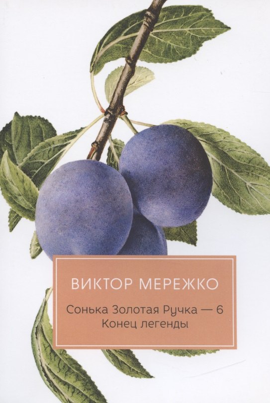 

Сонька Золотая Ручка - 6. Конец легенды