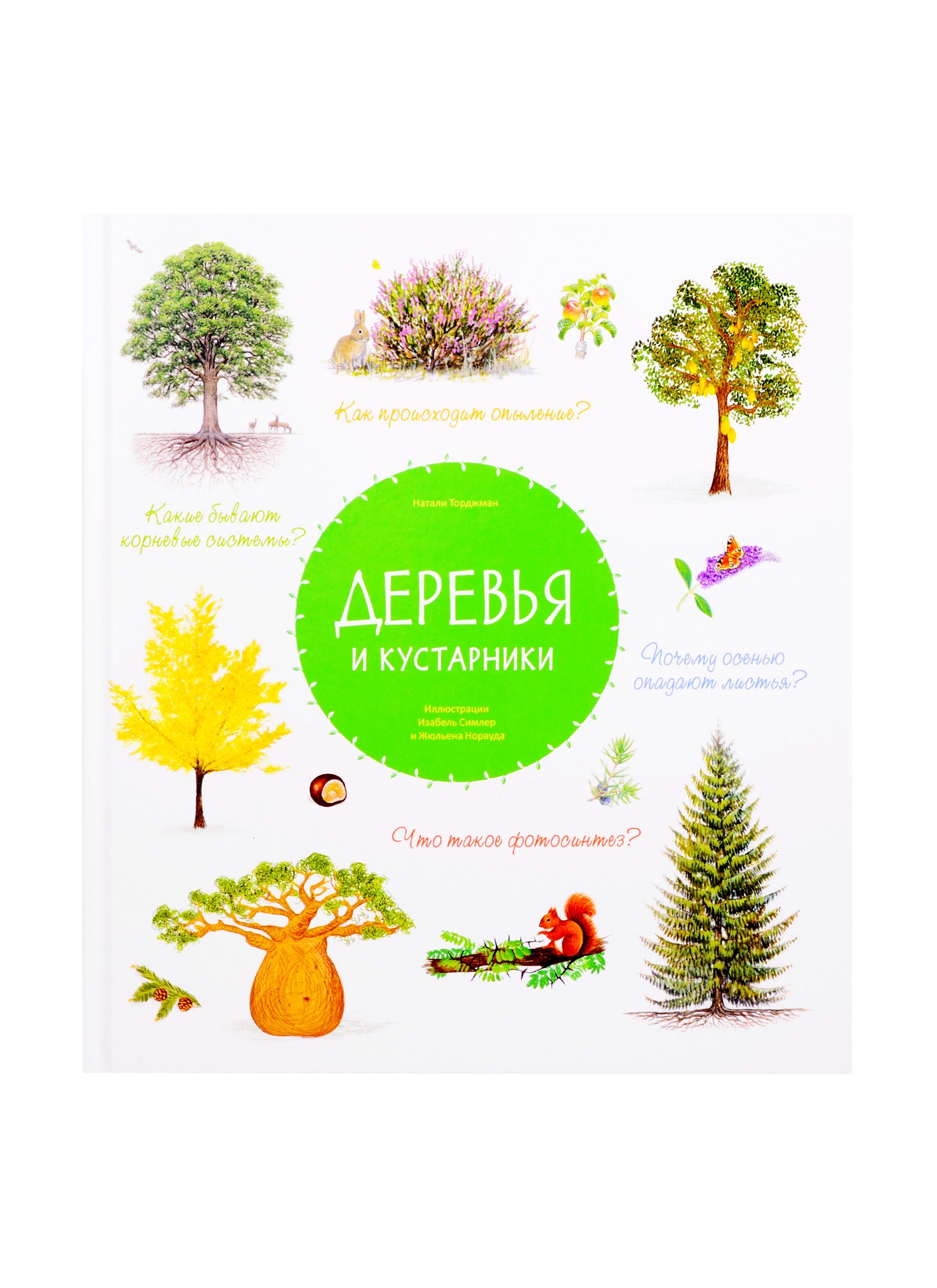 

Деревья и кустарники