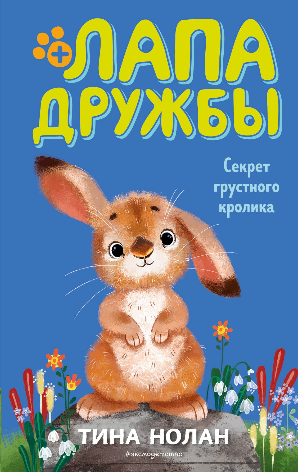 

Секрет грустного кролика