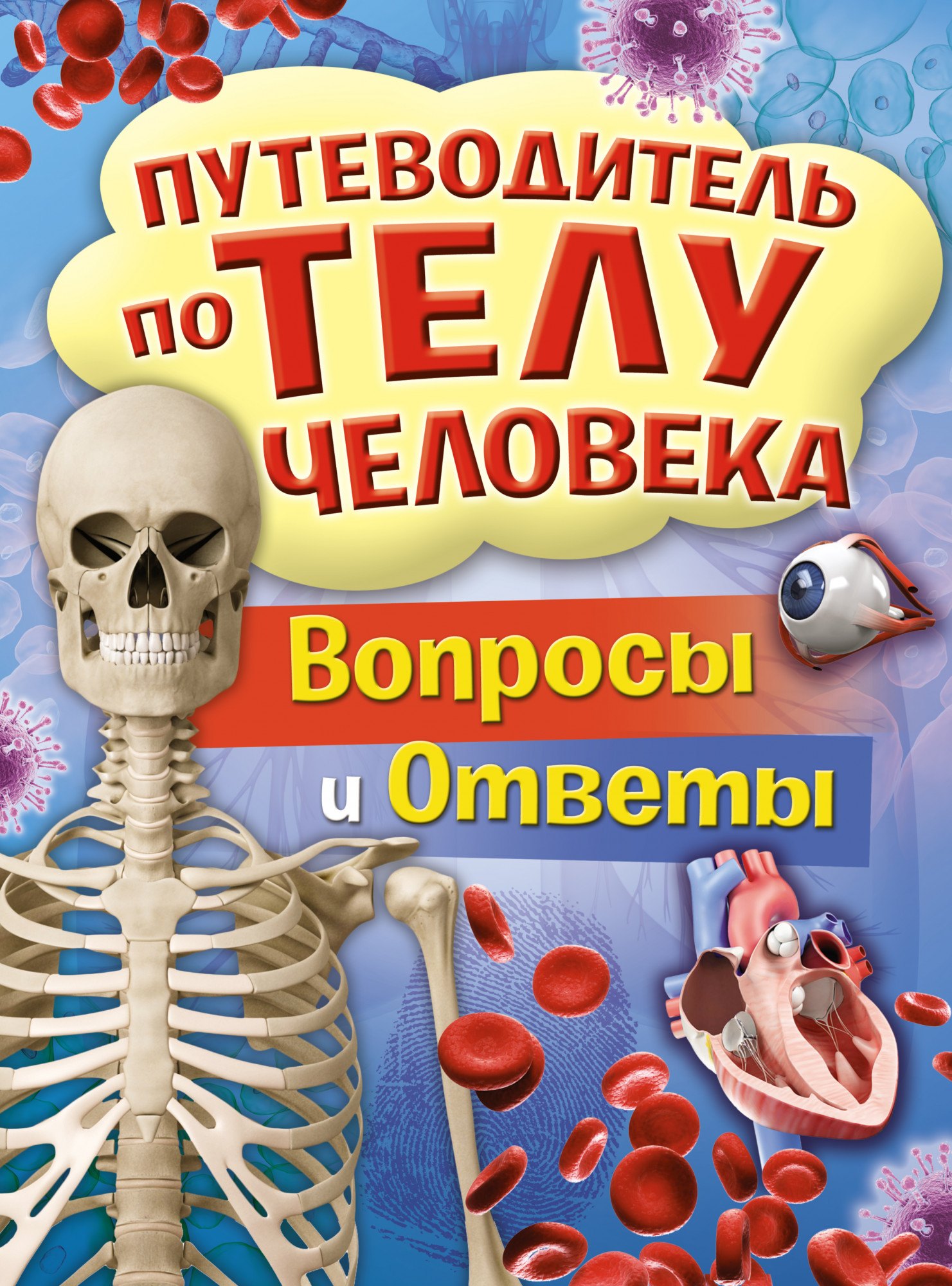 

Путеводитель по телу человека. Вопросы и ответы