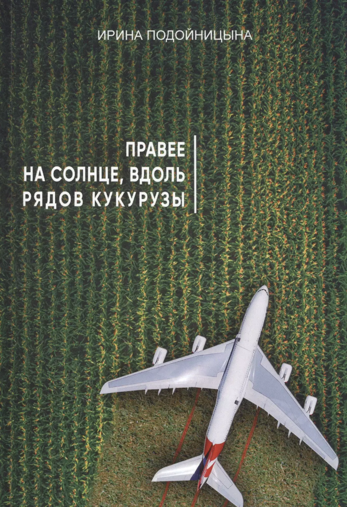 Вдоль кукурузы на солнце 2023. На солнце вдоль рядов кукурузы. Идём правее на солнце вдоль рядов кукурузы. Идем на солнце, правее рядов кукурузы