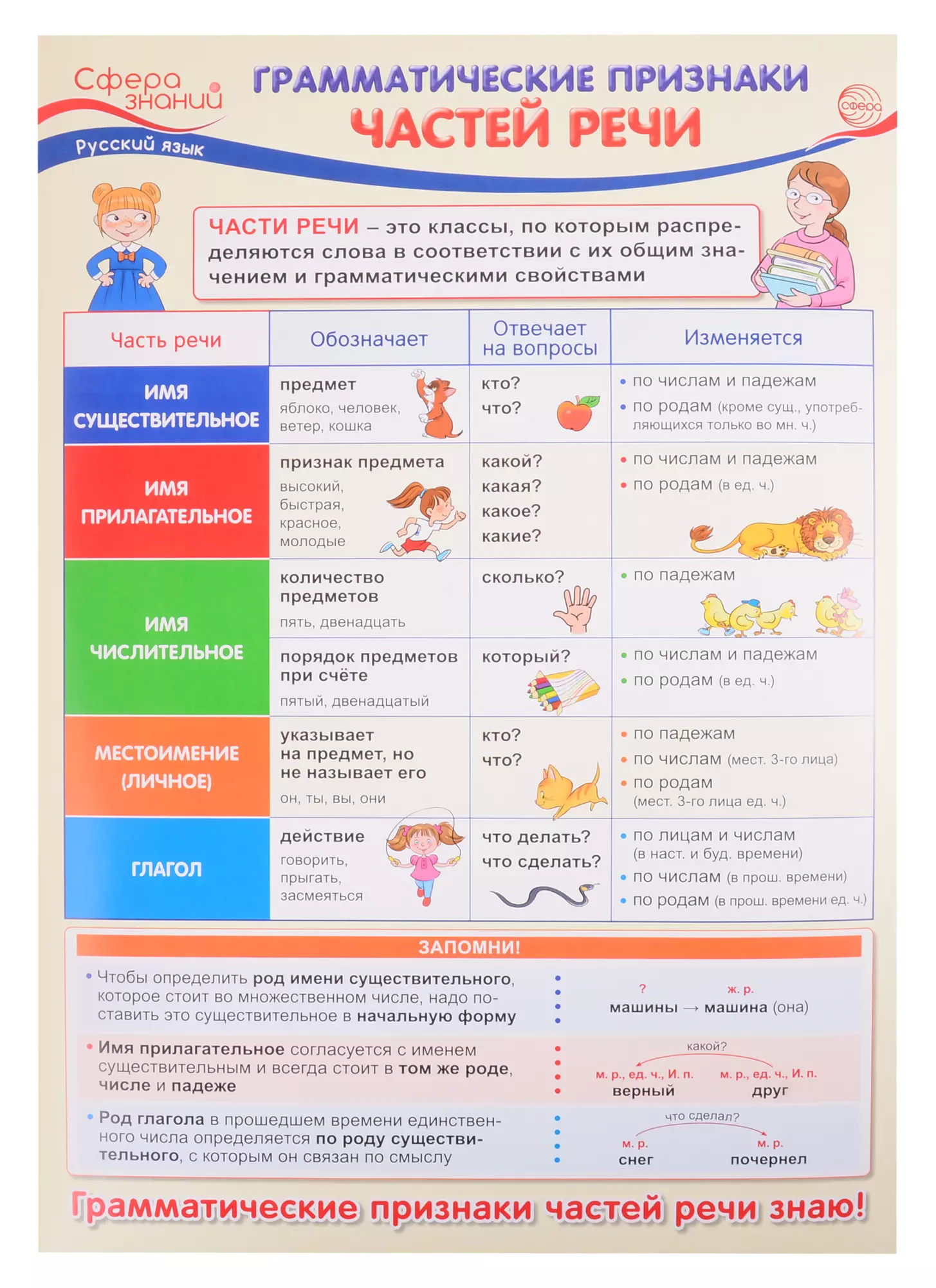 Грамматические признаки частей. Плакат части речи. Грамматические признаки частей речи. Сфера знаний русский язык плакат. Род частей речи.