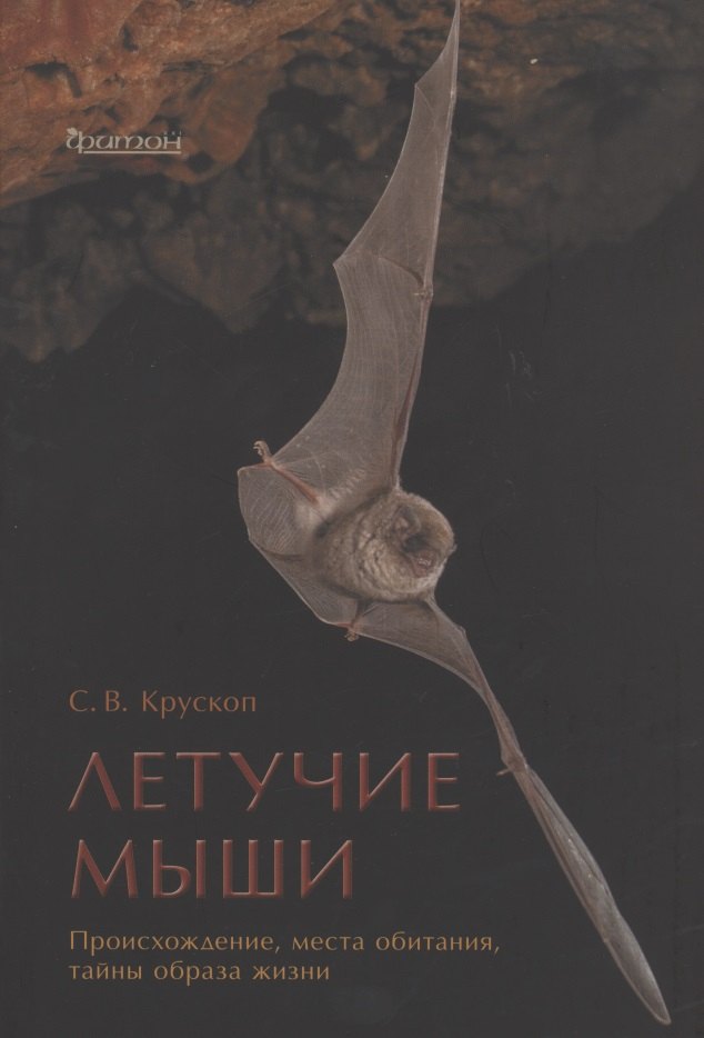 

Летучие мыши: Происхождение, места обитания, тайны образа жизни