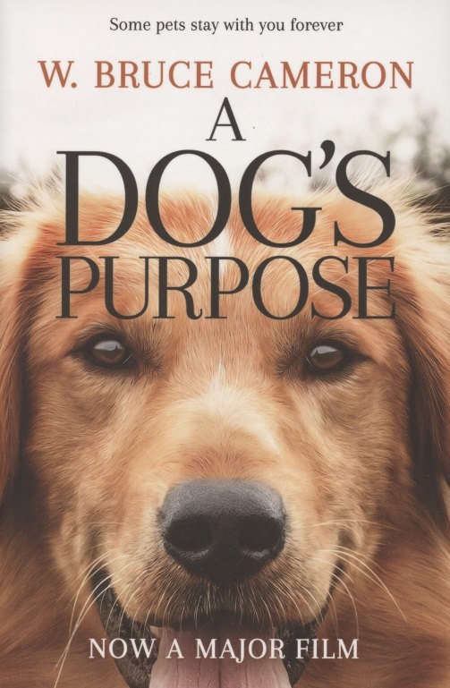 

A Dog’s Purpose