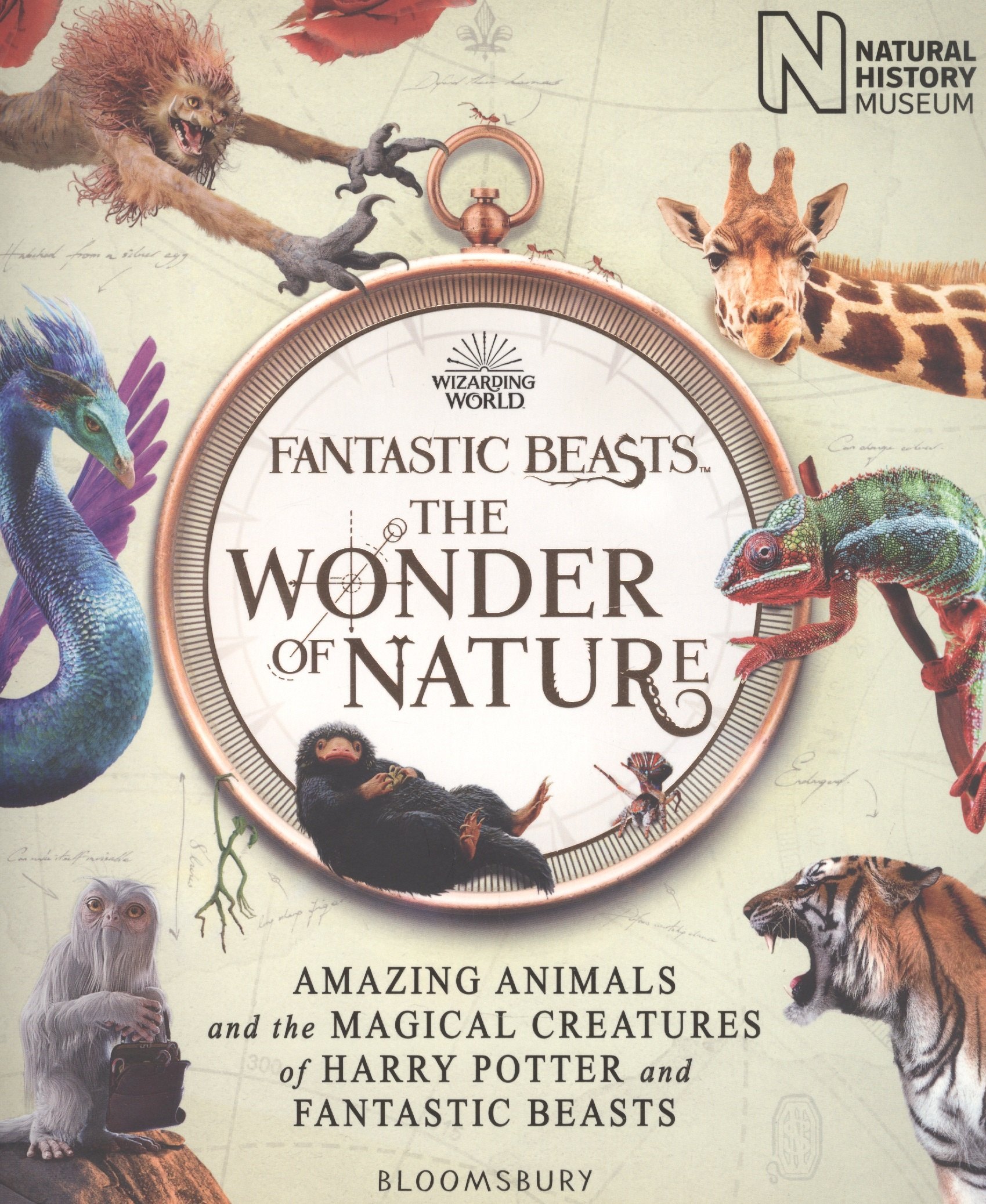 

Fantastic Beasts: The Wonder of Nature. Amazing Animals and the Magical Creatures of Harry Potter and Fantastic Beasts