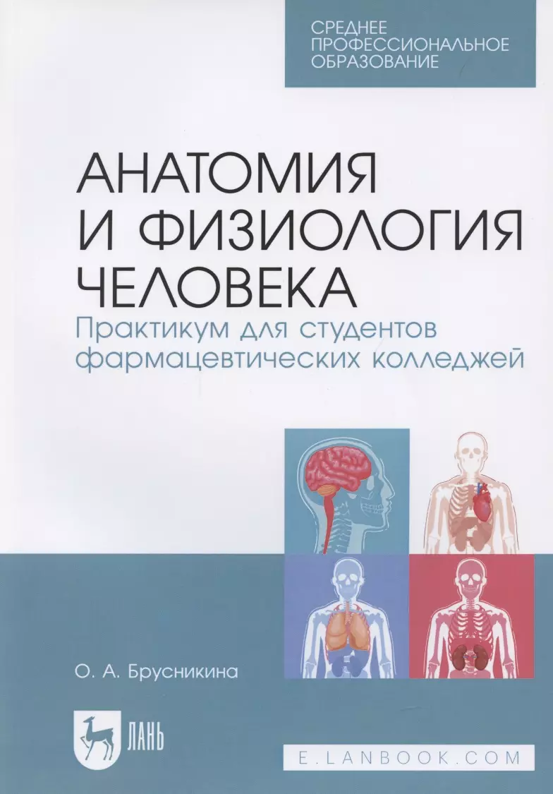 Практикум человек. Анатомия и физиология человека. Анатомия для колледжей. Анатомия и физиология человека для медицинских колледжей. Учебник анатомии для медицинских колледжей.