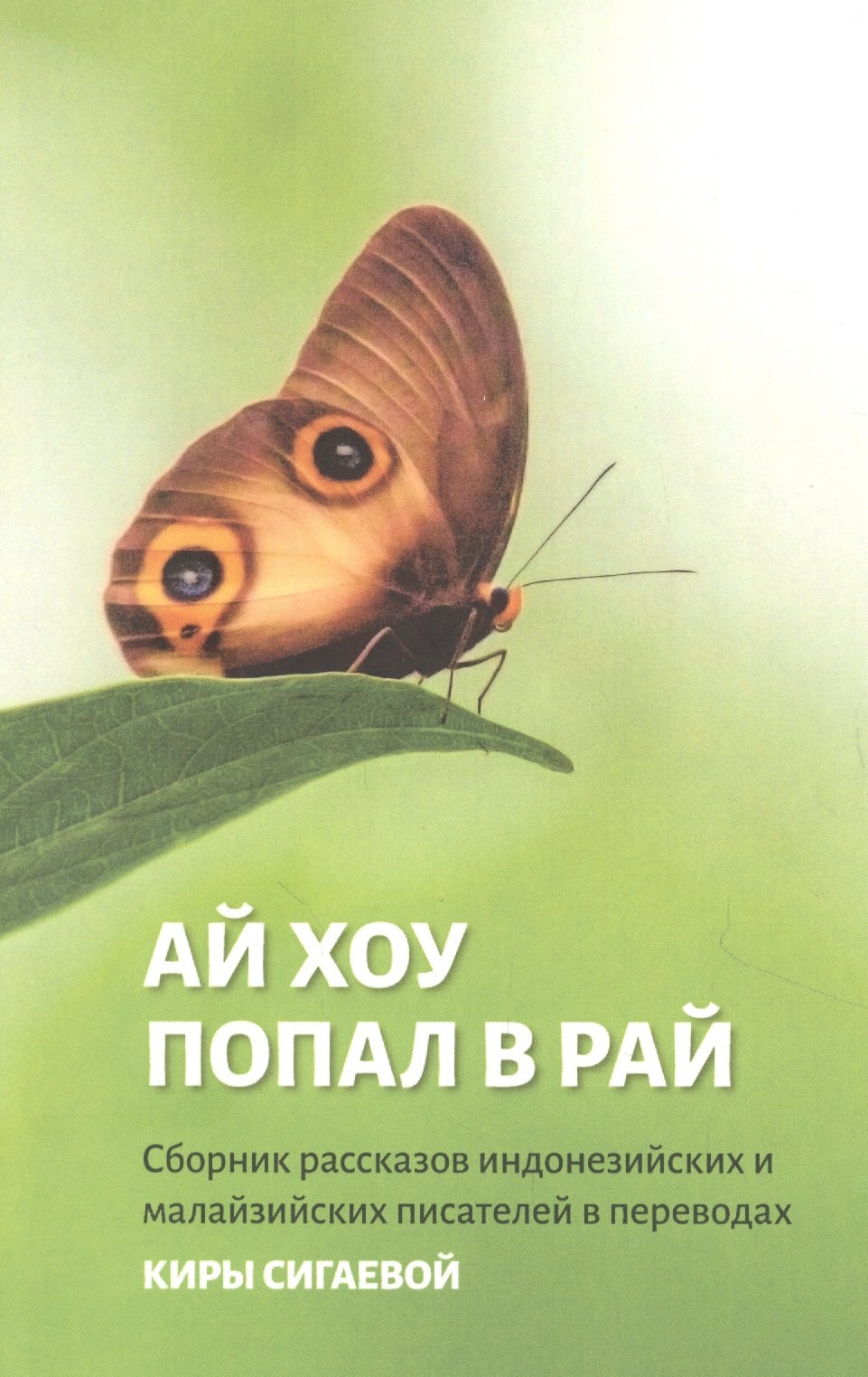 

Ай Хоу попал в рай