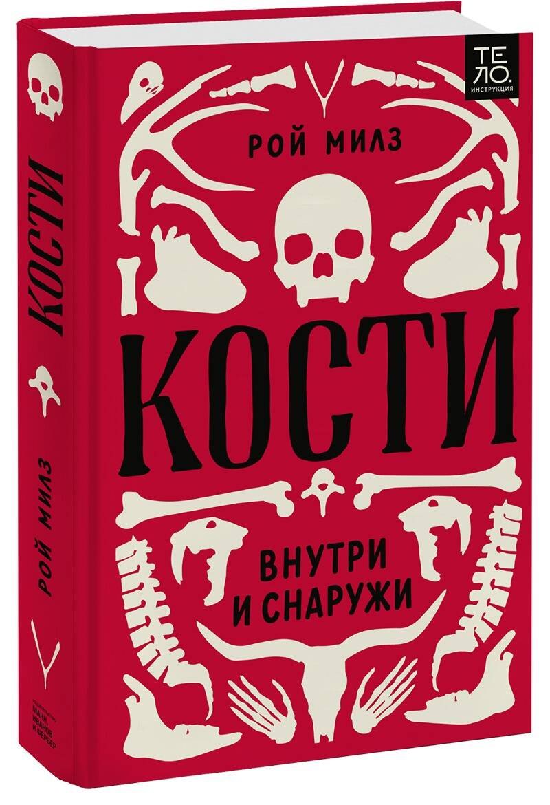 

Кости: внутри и снаружи