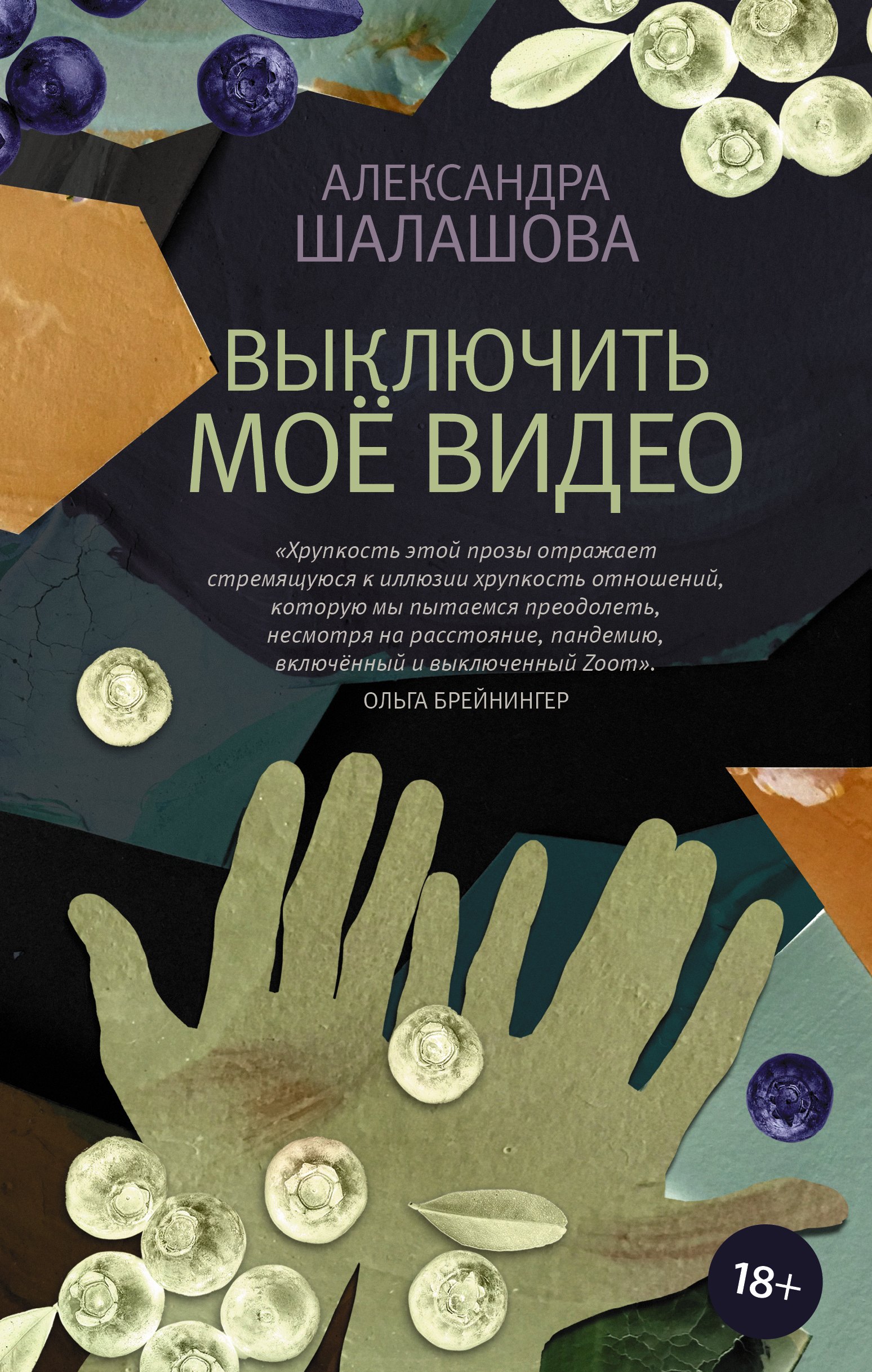 

Выключить мое видео