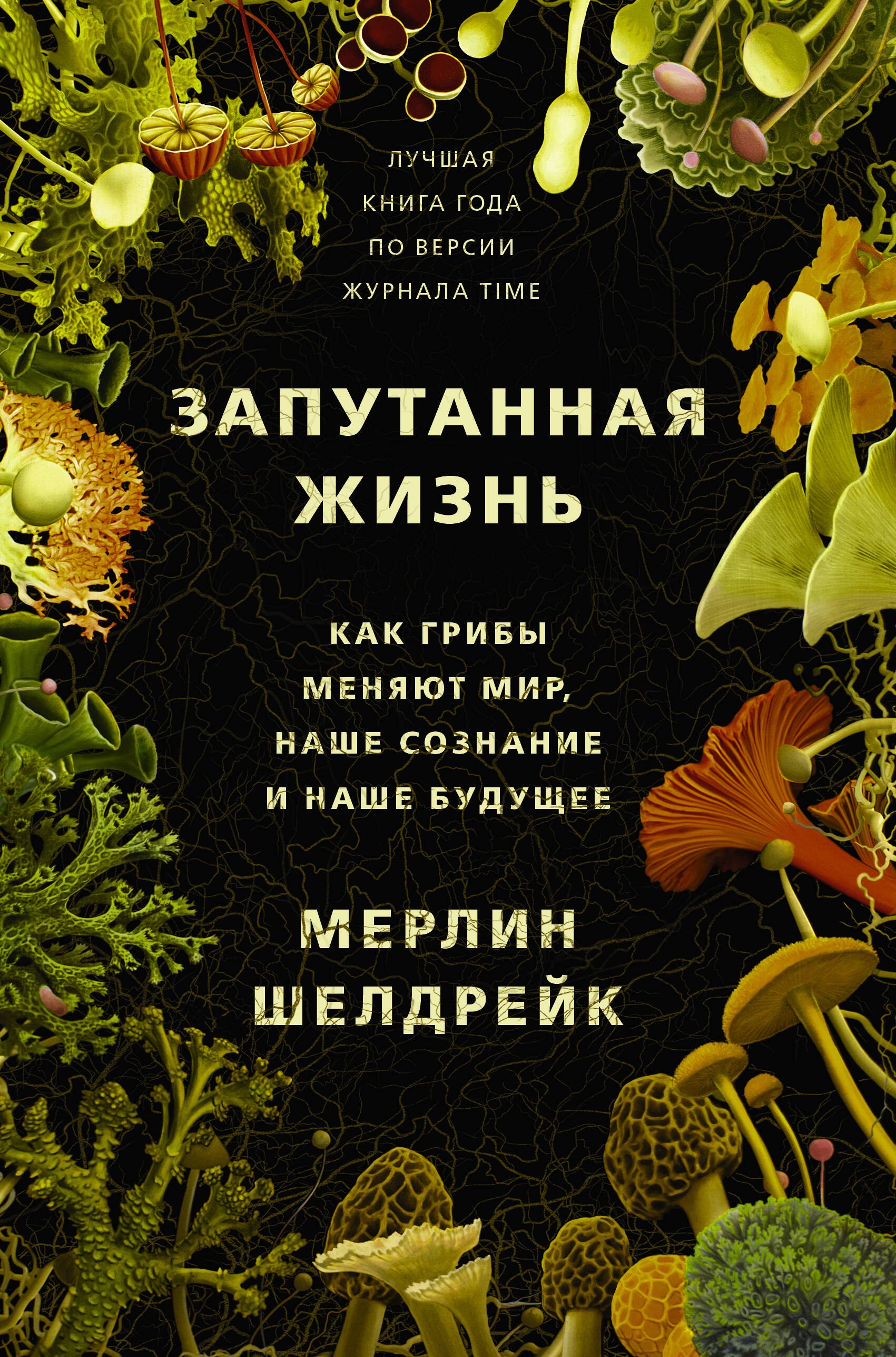 

Запутанная жизнь. Как грибы меняют мир, сознание и будущее