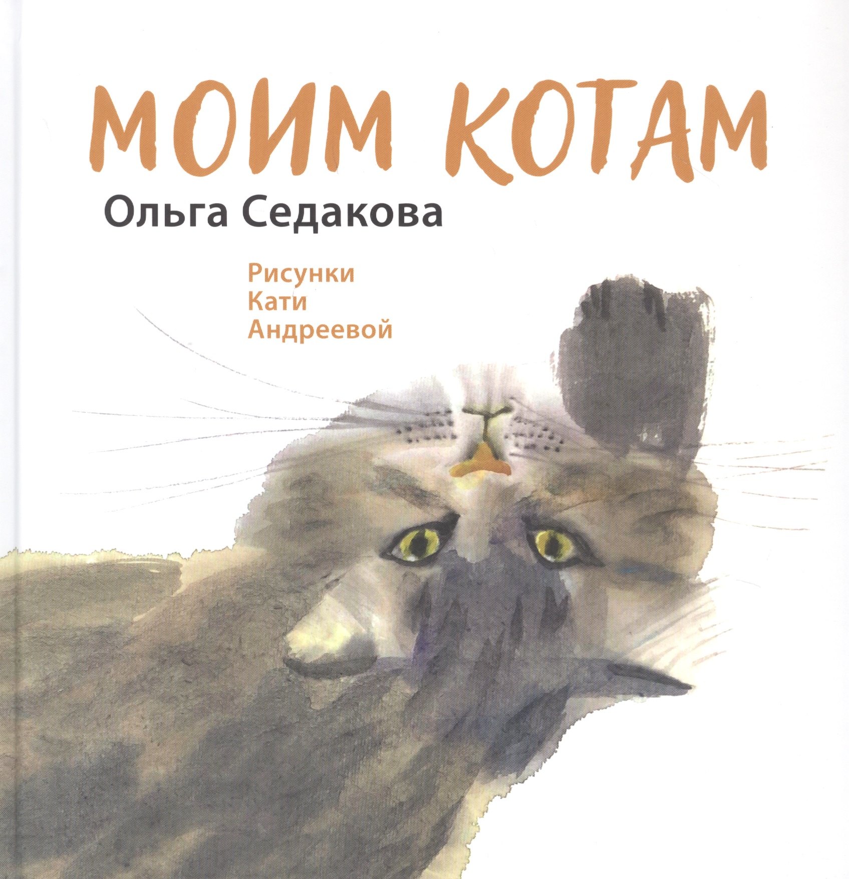 

Моим котам