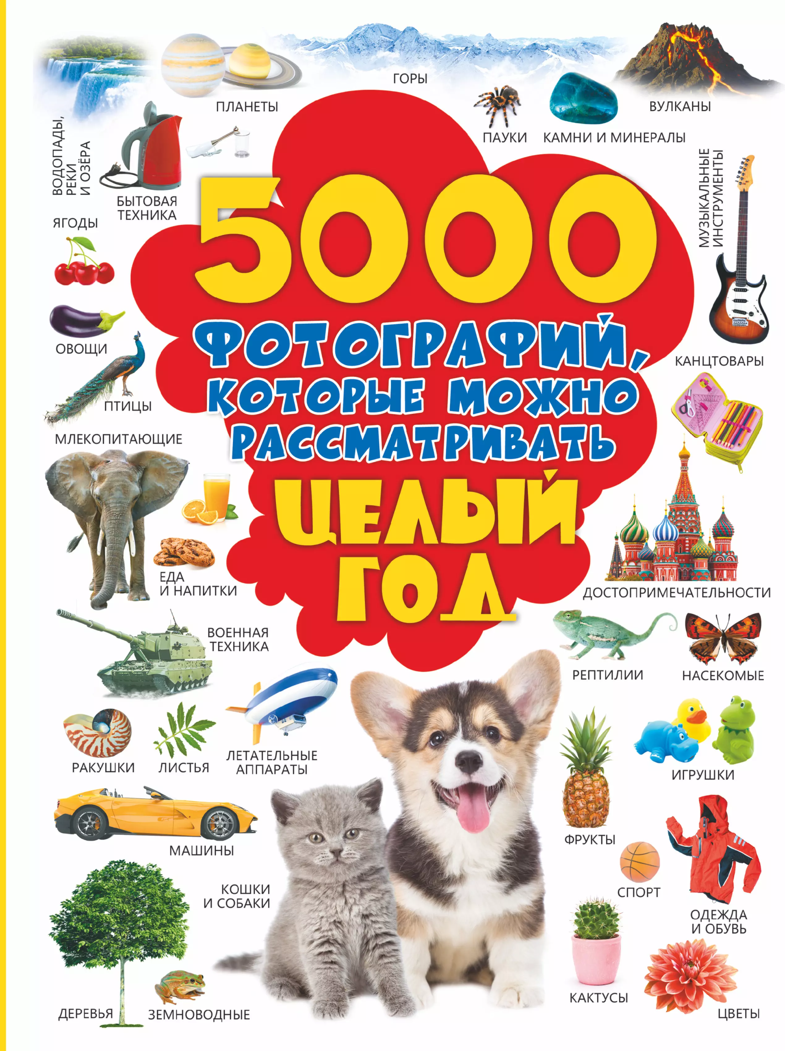 5000 картинок которые можно рассматривать целый год доманская л в