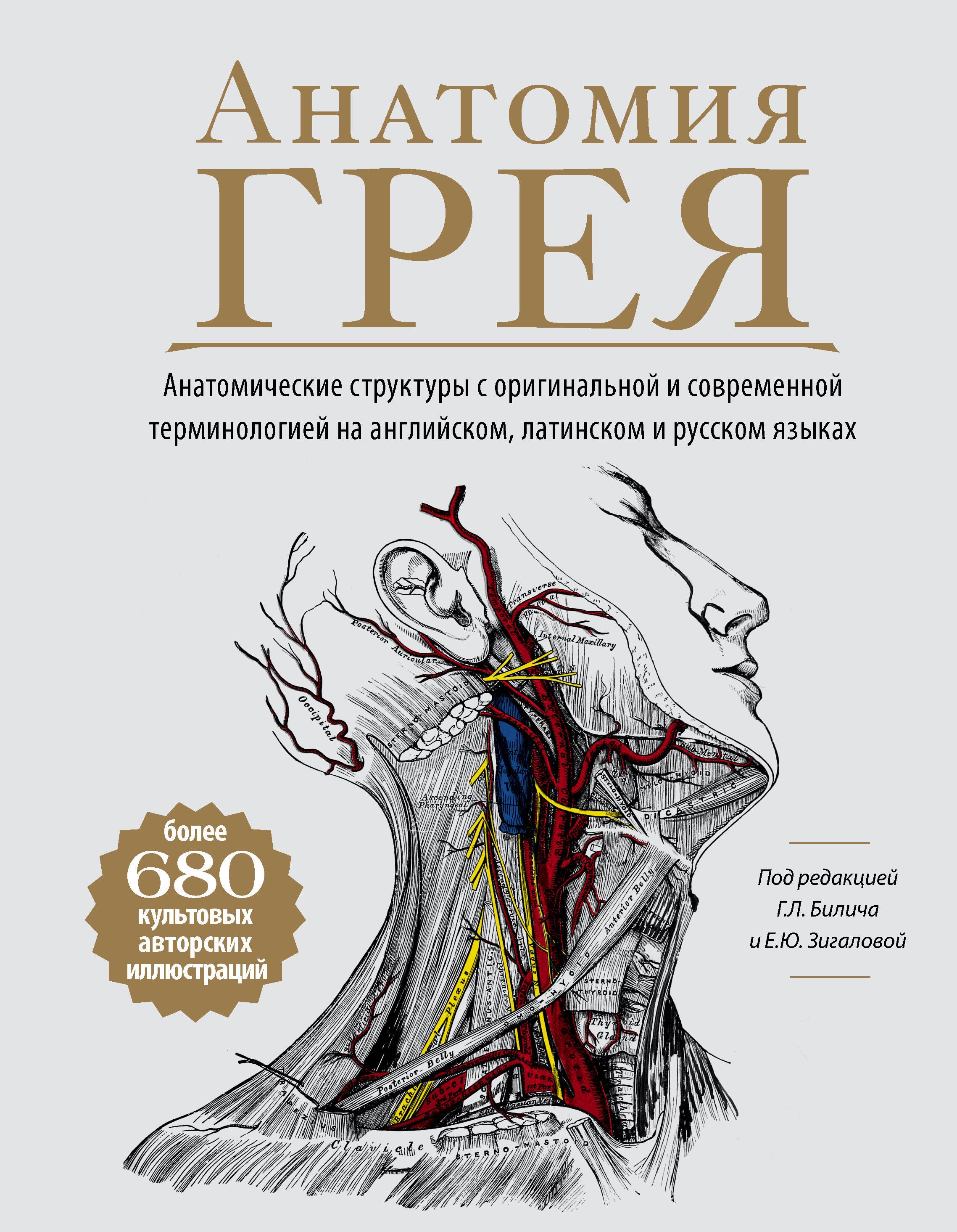 

Анатомия Грея. Анатомические структуры с оригинальной и современной терминологией на английском, латинском и русском языках