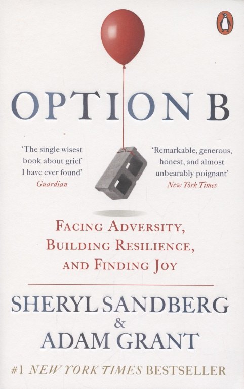 

Option B. Facing Adversity, Building Resilience, and Finding Joy