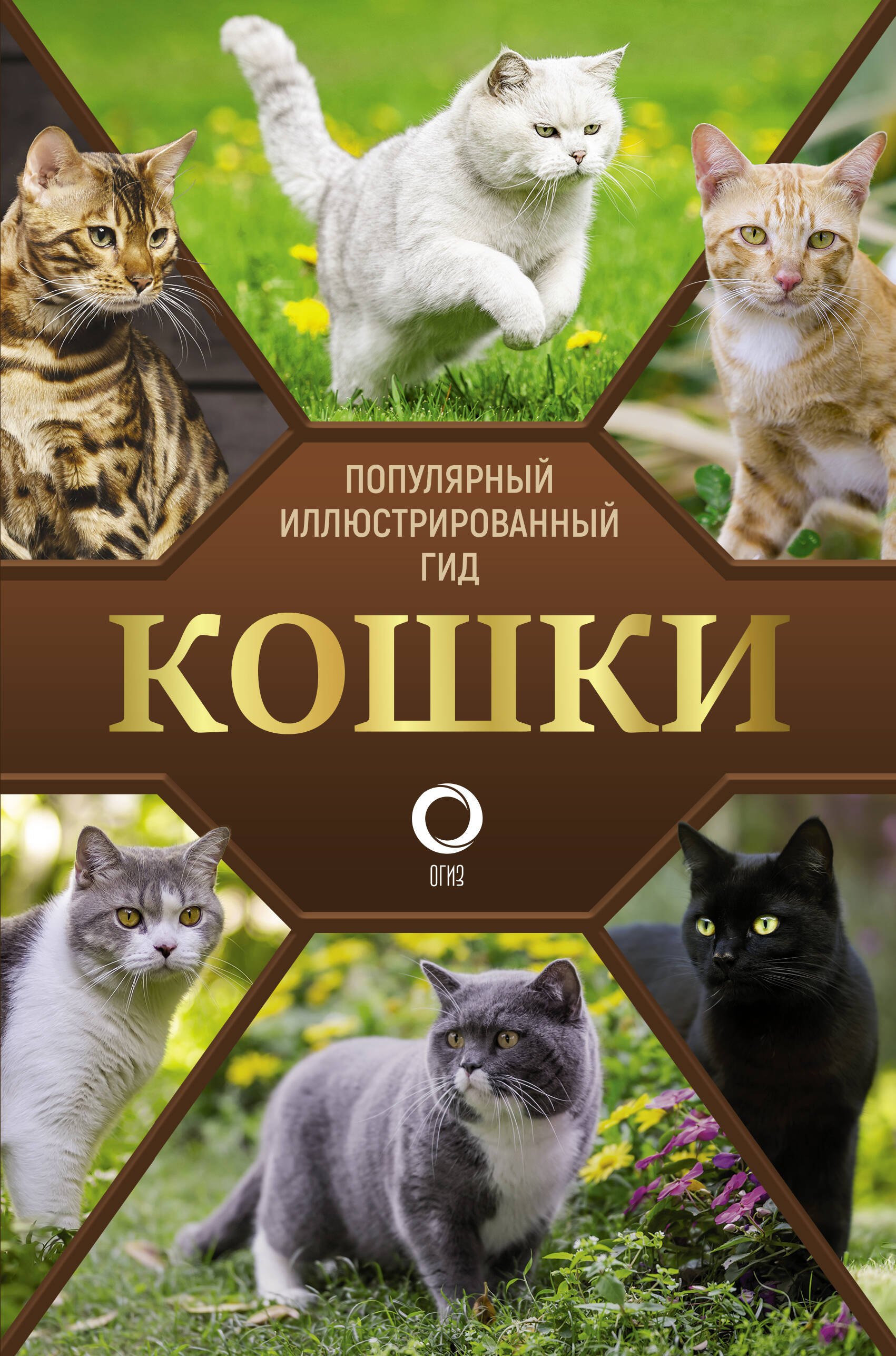 

Кошки. Популярный иллюстрированный гид